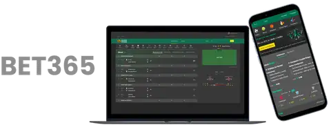 荷兰队,场双里程碑,德利赫特与,﻿爱游戏app,爱游戏官网,爱游戏体育官网,爱游戏体育app